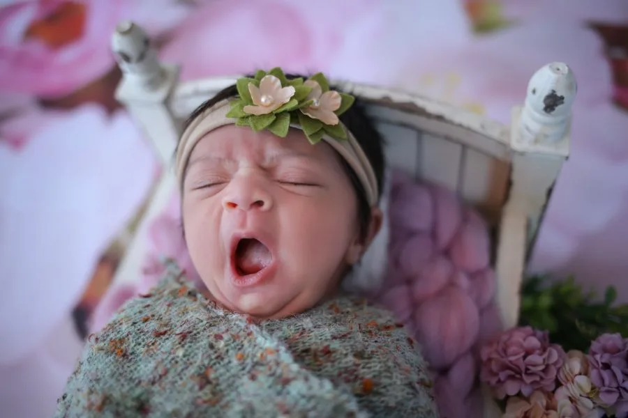 Newborn portrait photographed in the studio on a bed of flowers